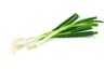Spring Onion