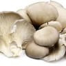 Mushroom mix Ashford