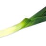 Leek