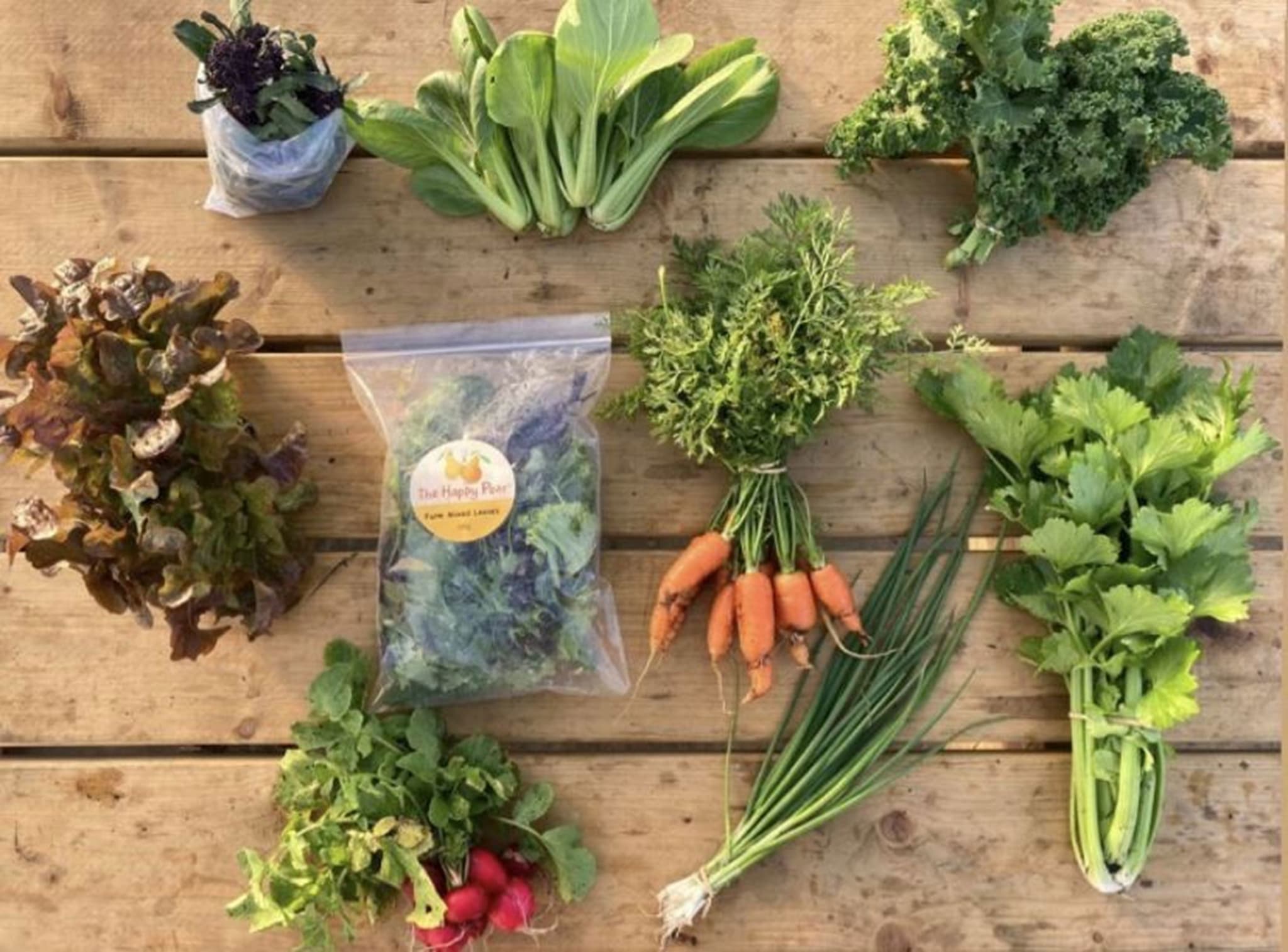 Large Veg Box