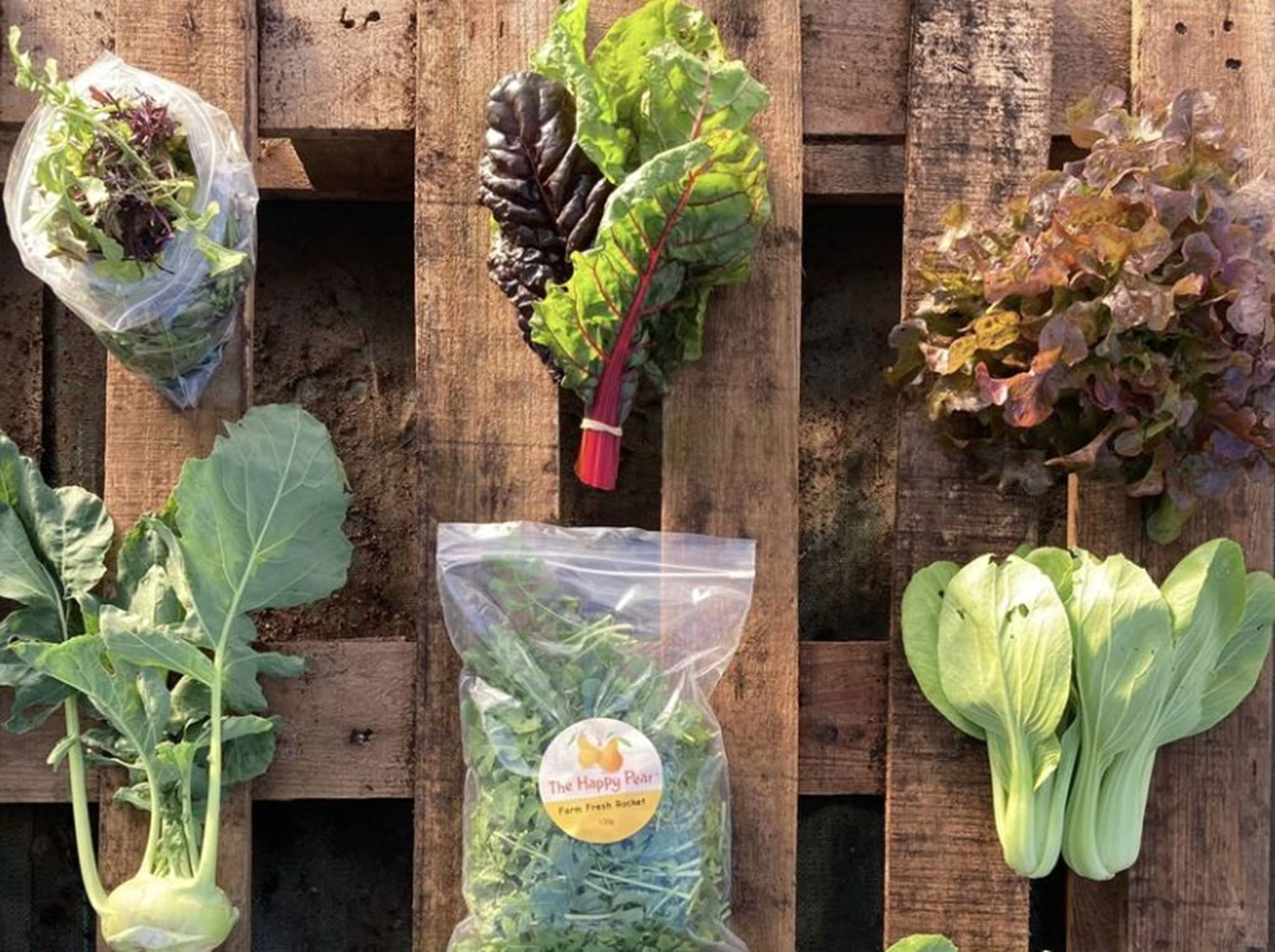Small Veg Box